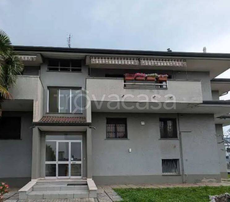 immagine annuncio 1 di 12