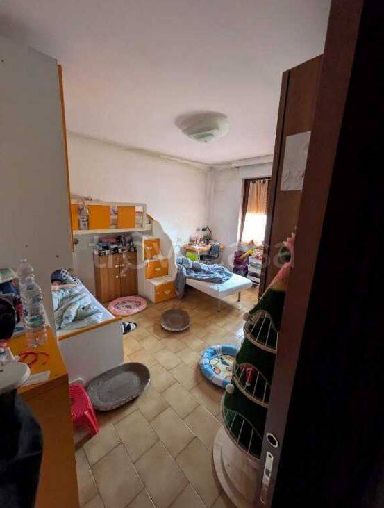 immagine annuncio 9 di 12