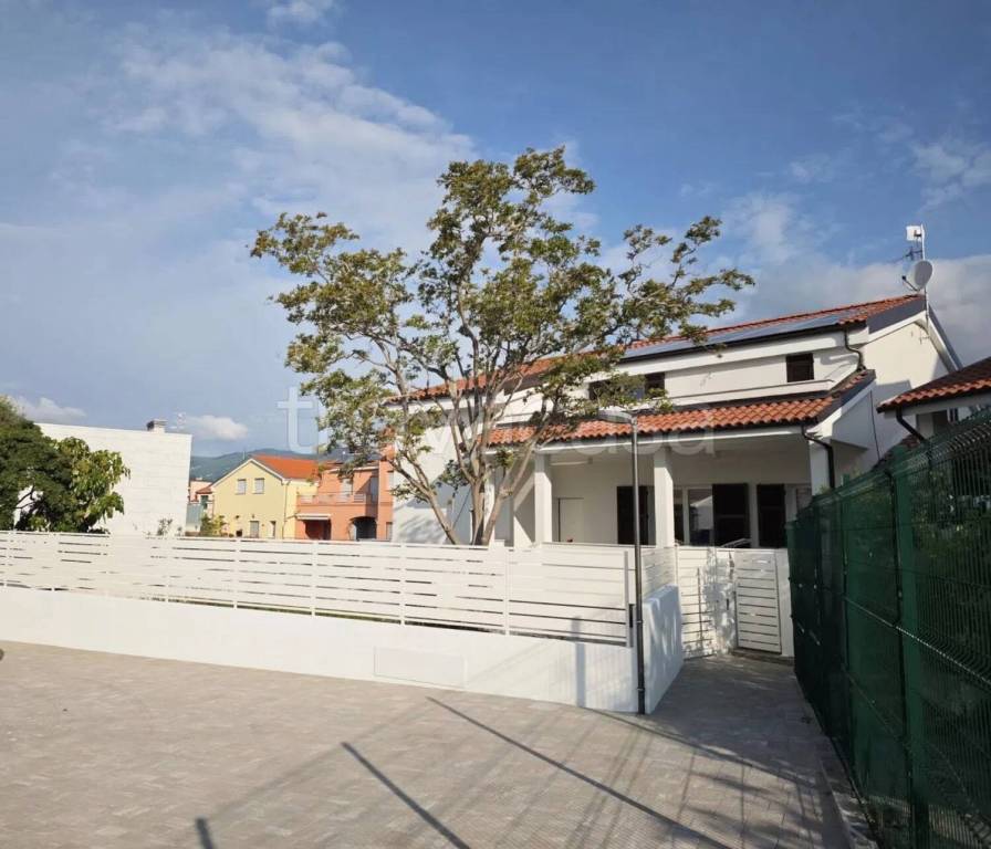 immagine annuncio 6 di 11