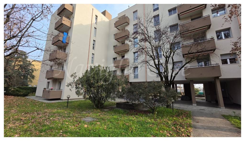 immagine annuncio 12 di 13