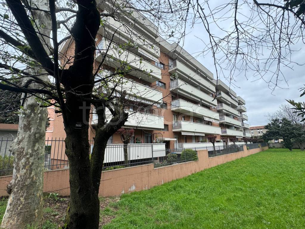 immagine annuncio 12 di 13