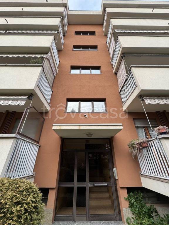 immagine annuncio 11 di 13