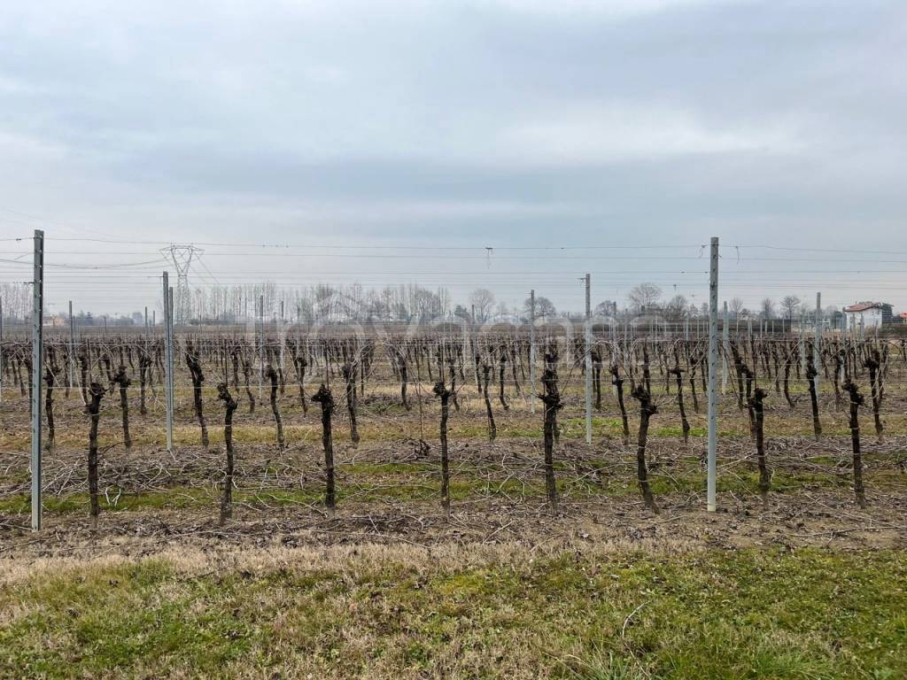 immagine annuncio 10 di 12