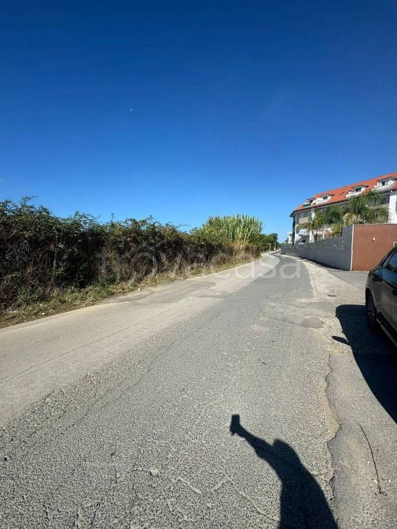 immagine annuncio 5 di 7