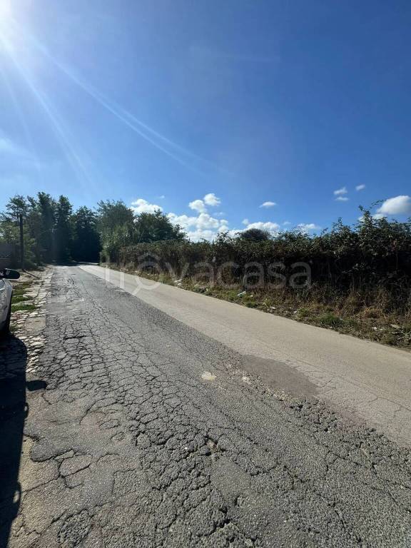 immagine annuncio 6 di 7