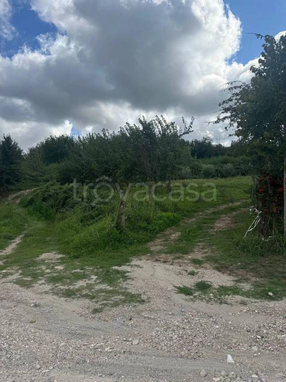 immagine annuncio 3 di 11