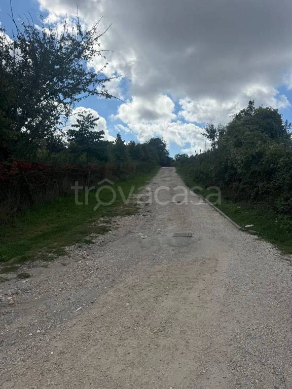 immagine annuncio 4 di 11