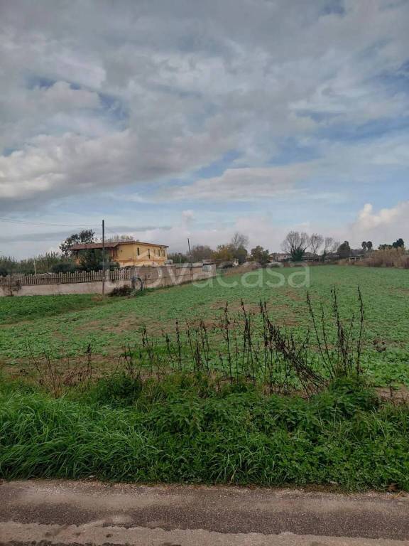 immagine annuncio 2 di 9