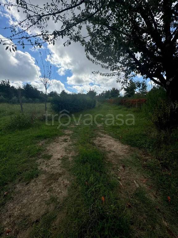 immagine annuncio 7 di 11