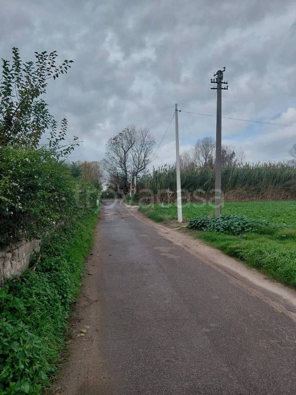 immagine annuncio 5 di 9