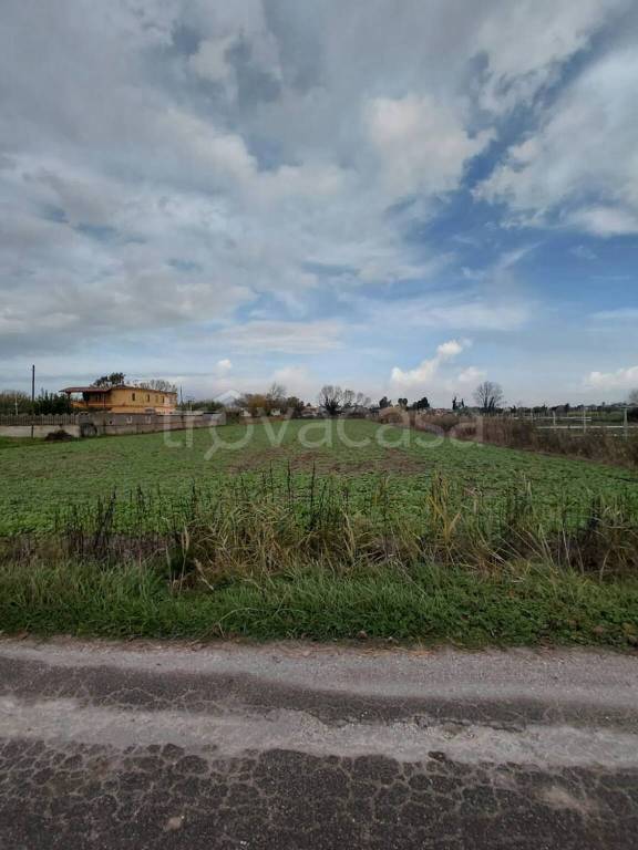 immagine annuncio 7 di 9