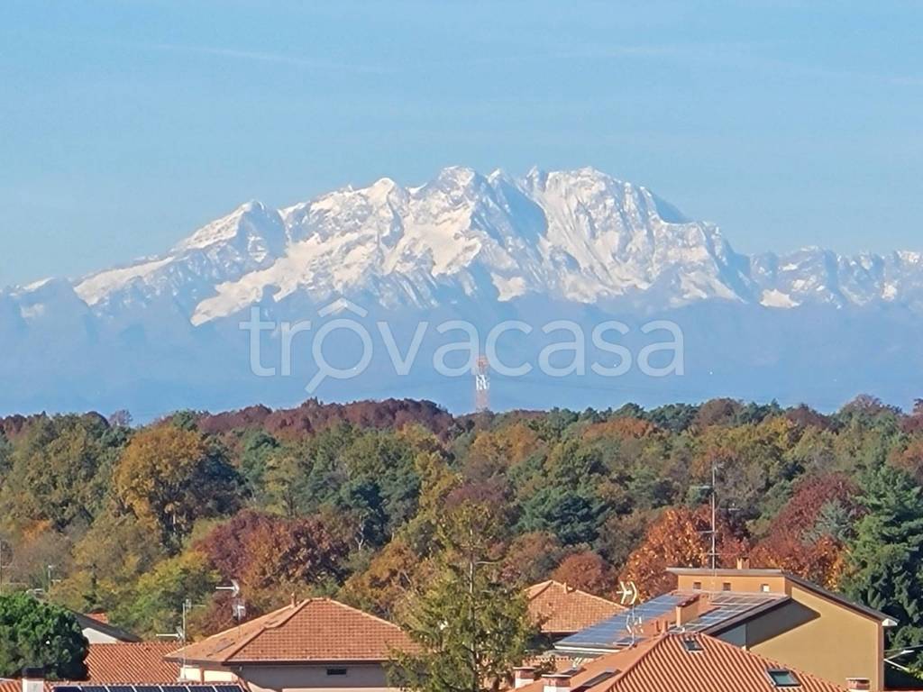 immagine annuncio 9 di 12