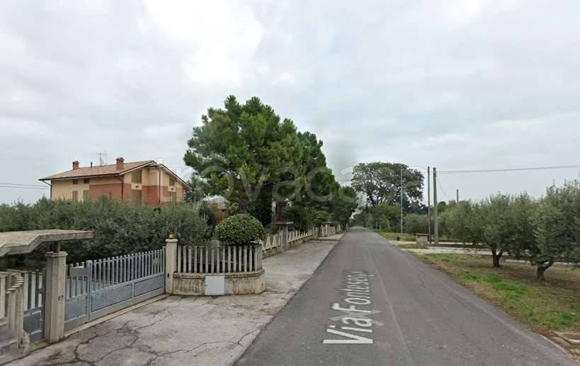 immagine annuncio 6 di 11