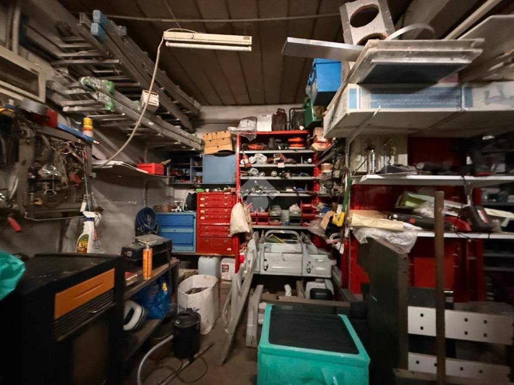 immagine annuncio 4 di 11