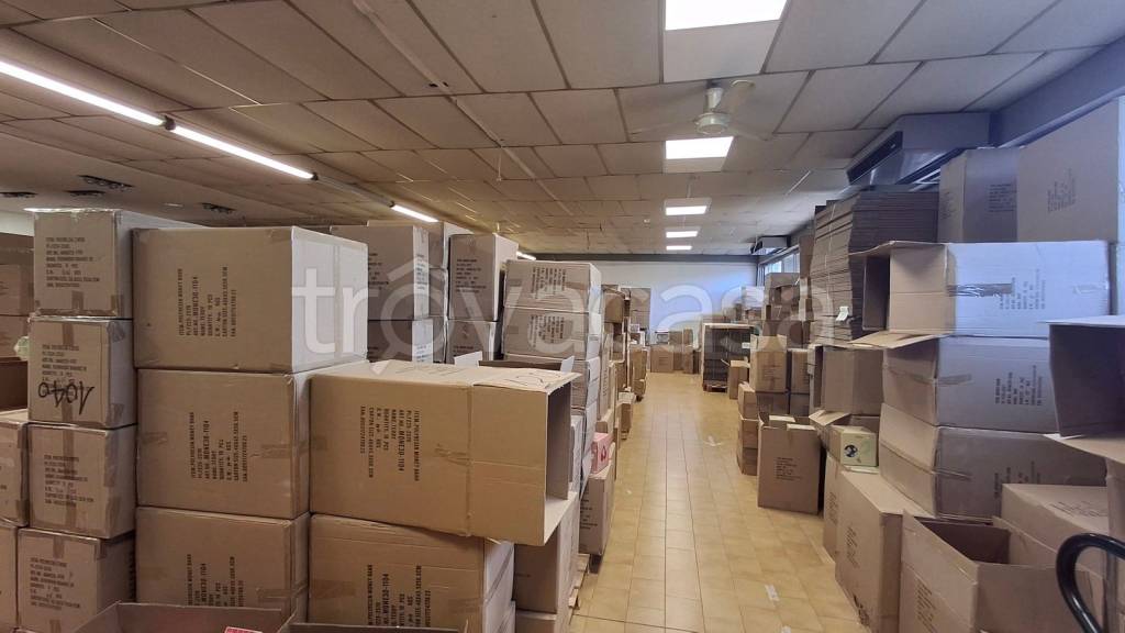 immagine annuncio 3 di 13