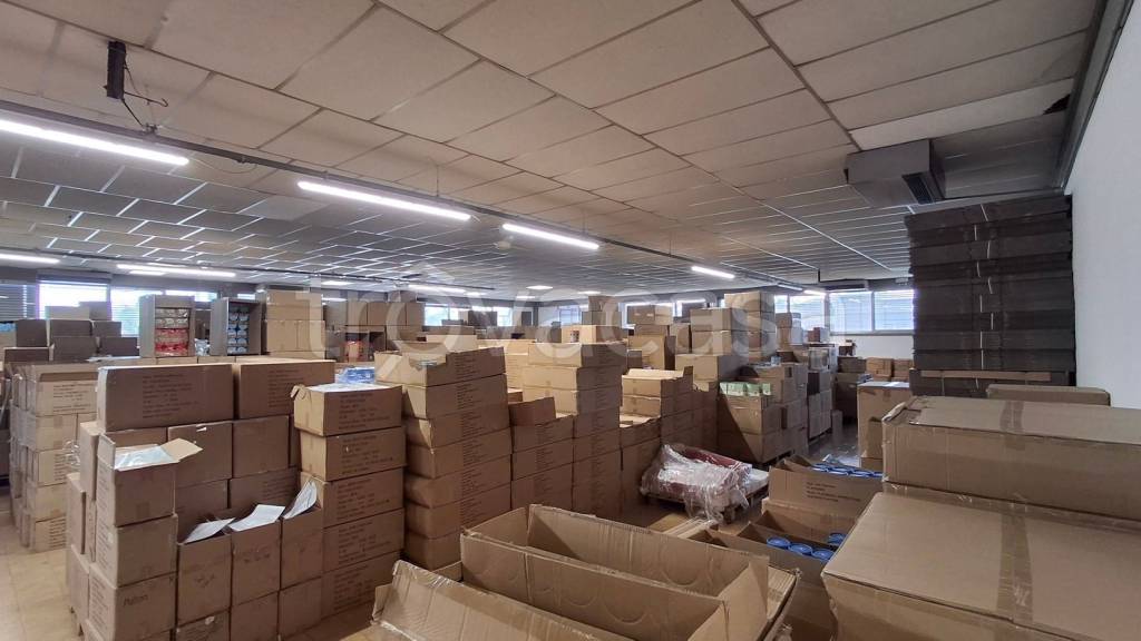 immagine annuncio 9 di 13