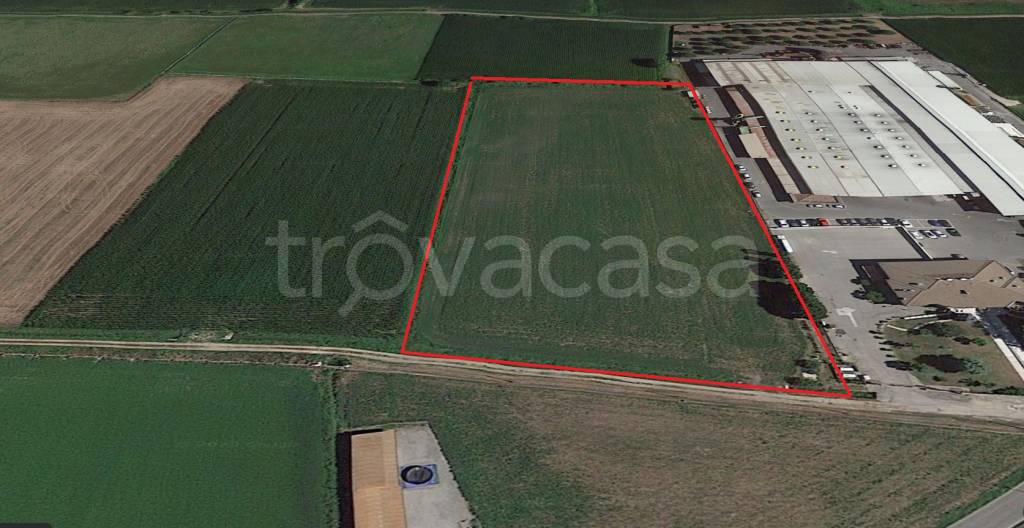 immagine annuncio 2 di 6