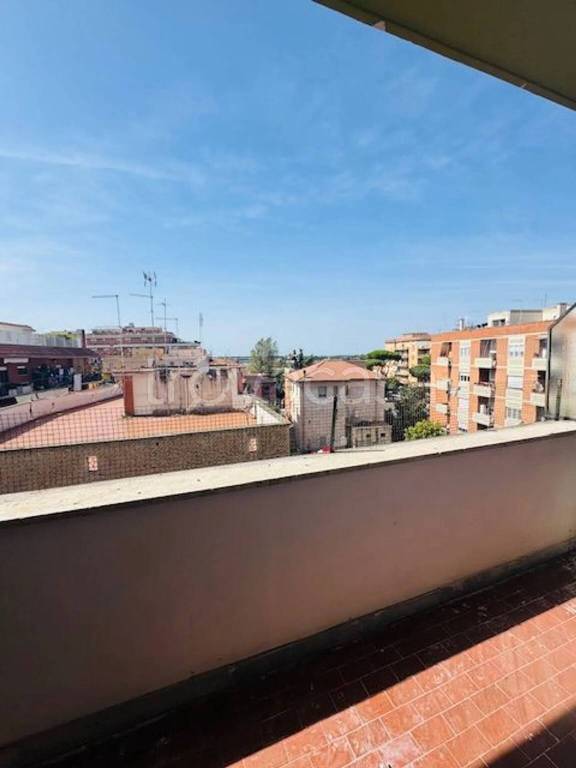 immagine annuncio 10 di 14