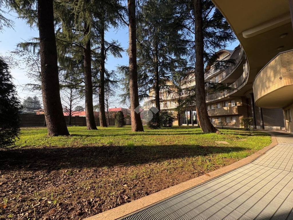 immagine annuncio 12 di 13