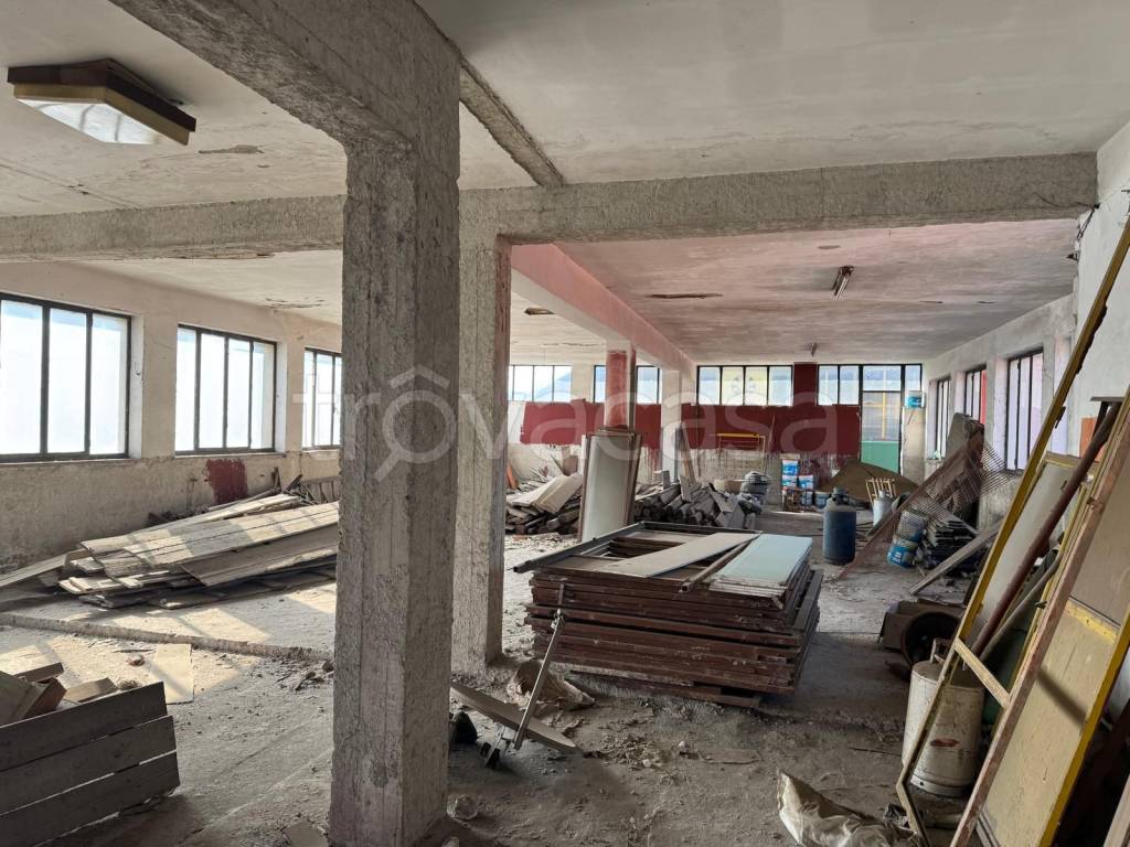 immagine annuncio 9 di 14