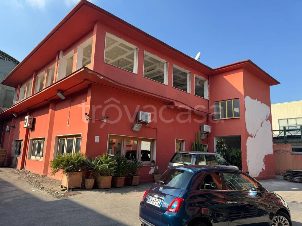 immagine annuncio 11 di 14