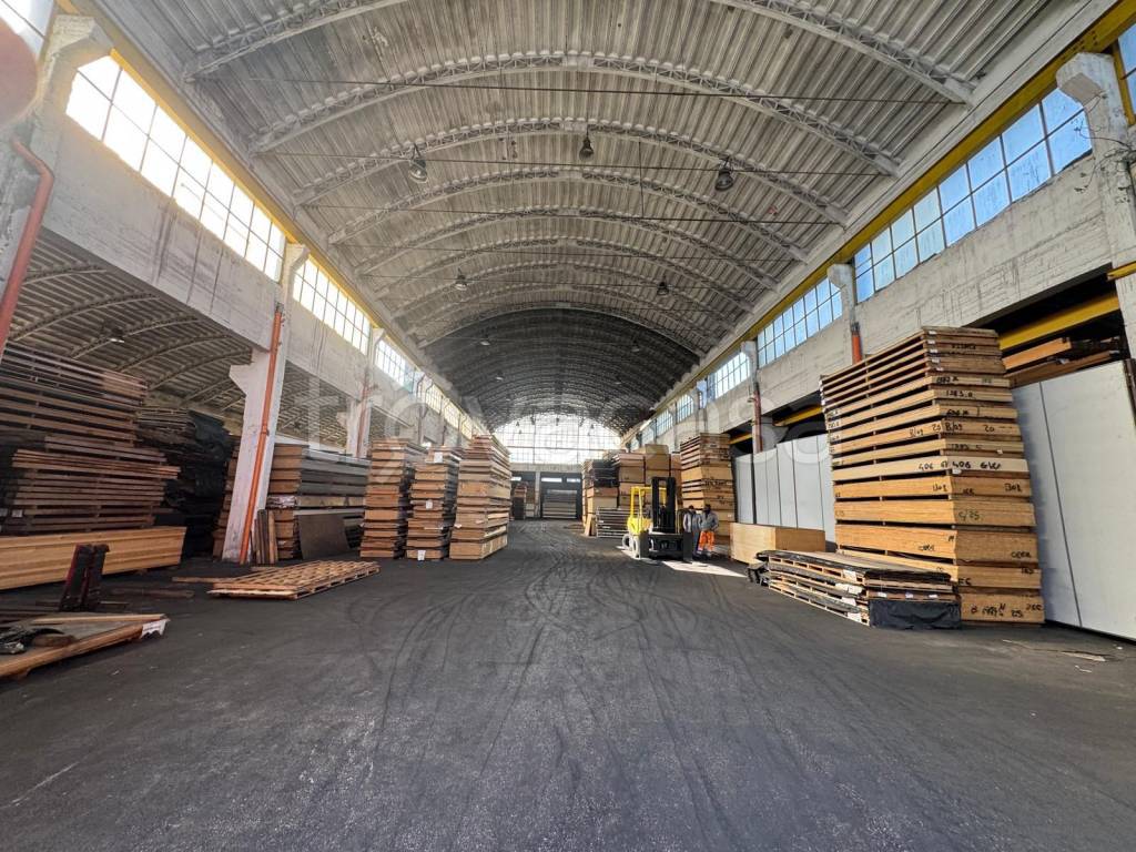 immagine annuncio 3 di 14