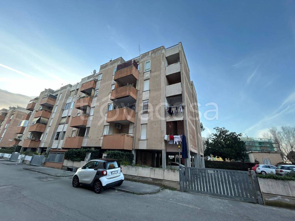 immagine annuncio 4 di 15