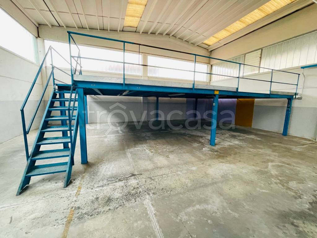 immagine annuncio 3 di 10