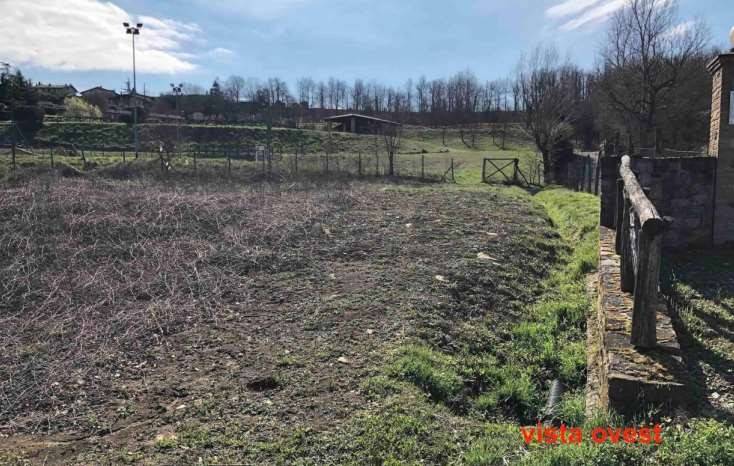 immagine annuncio 1 di 11