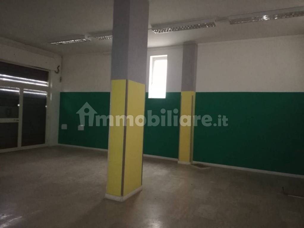 immagine annuncio 4 di 8