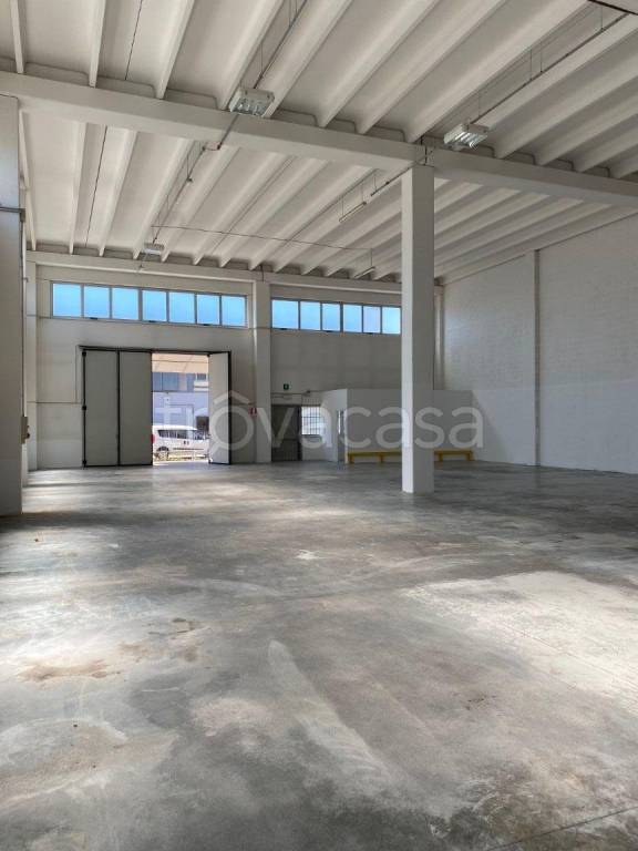 immagine annuncio 1 di 13