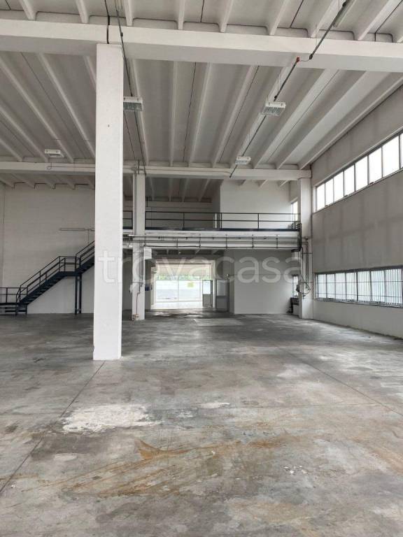 immagine annuncio 7 di 13