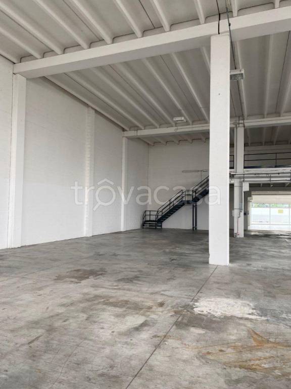 immagine annuncio 8 di 13