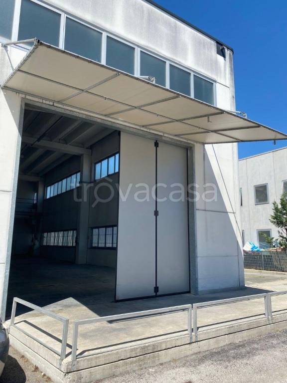 immagine annuncio 12 di 13