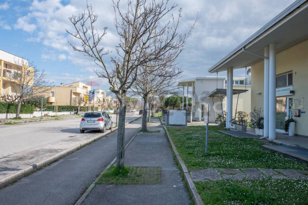 immagine annuncio 2 di 8