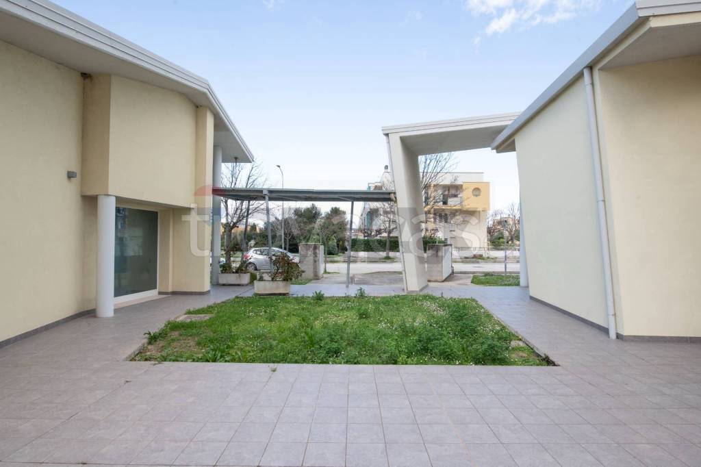 immagine annuncio 10 di 13