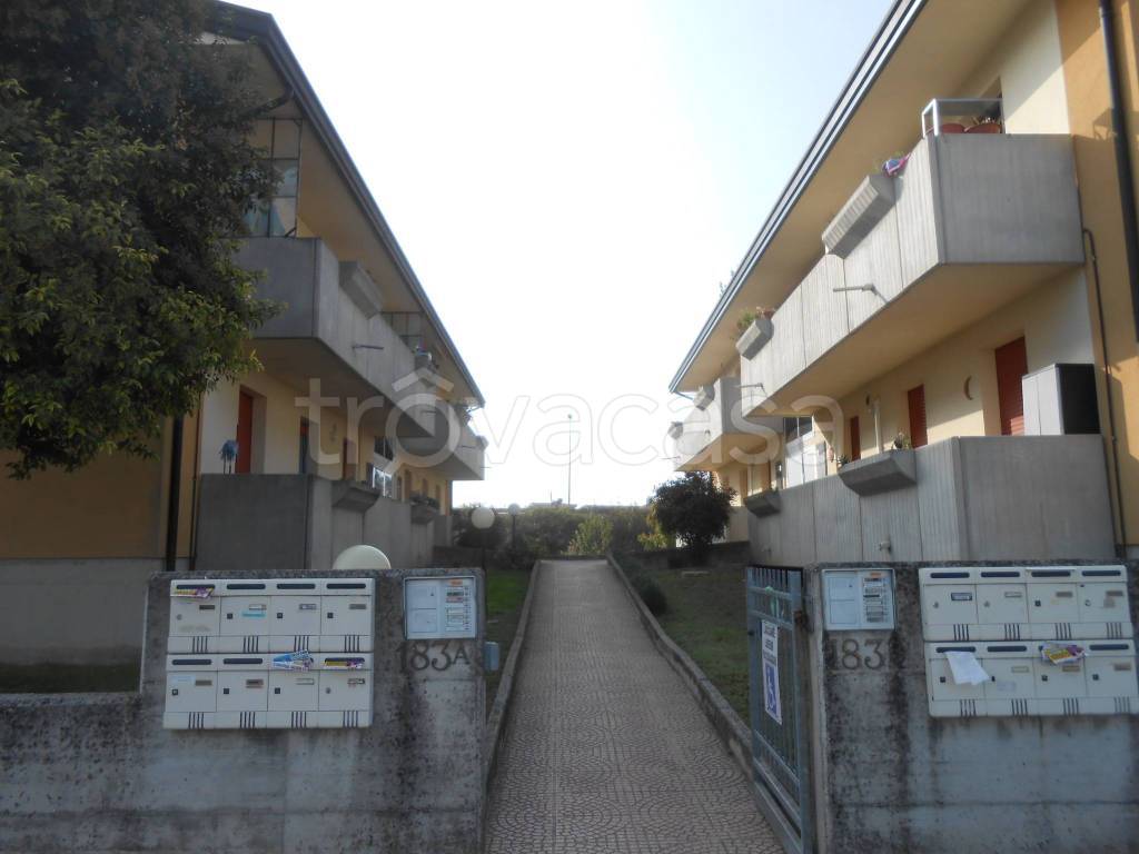 immagine annuncio 10 di 14