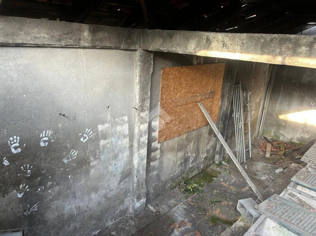 immagine annuncio 7 di 11