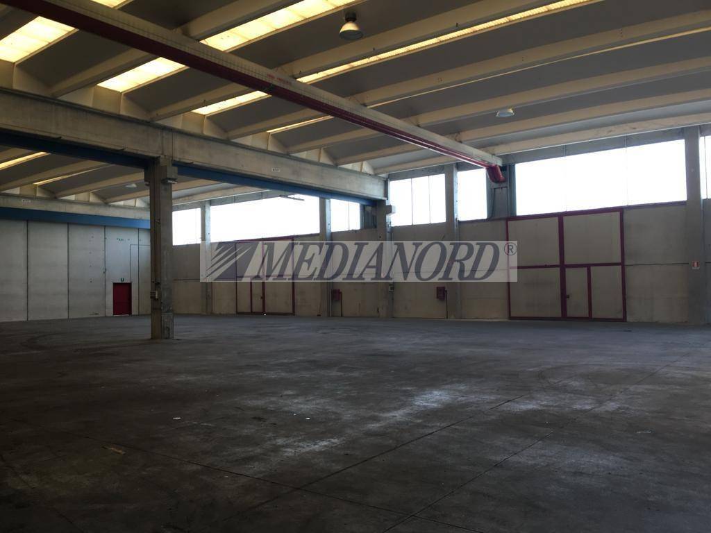 immagine annuncio 8 di 14