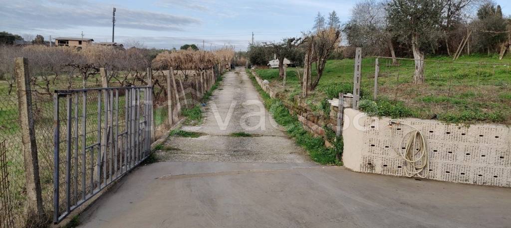 immagine annuncio 1 di 8