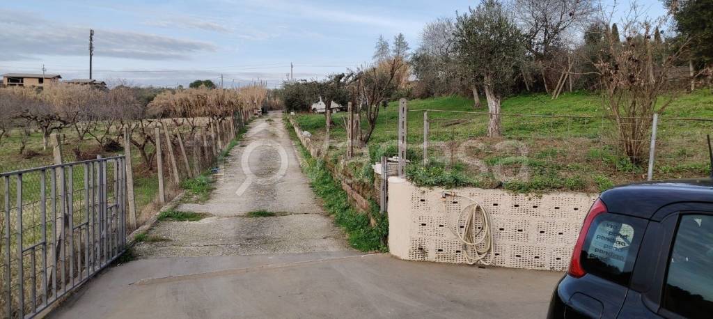 immagine annuncio 2 di 8