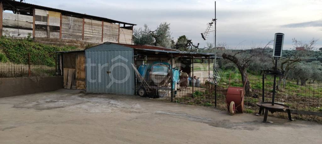 immagine annuncio 3 di 8