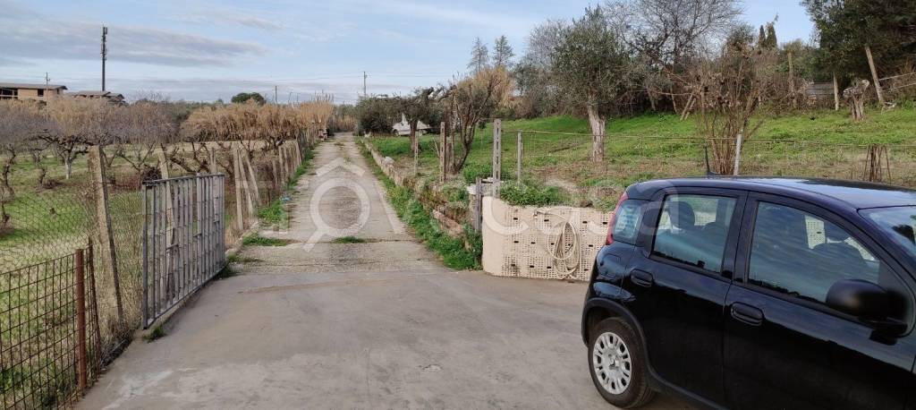 immagine annuncio 4 di 8