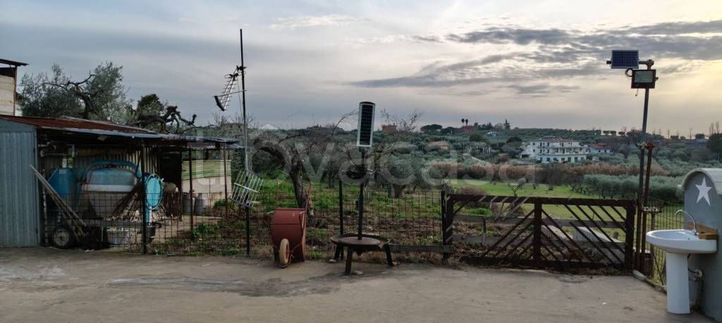 immagine annuncio 5 di 8