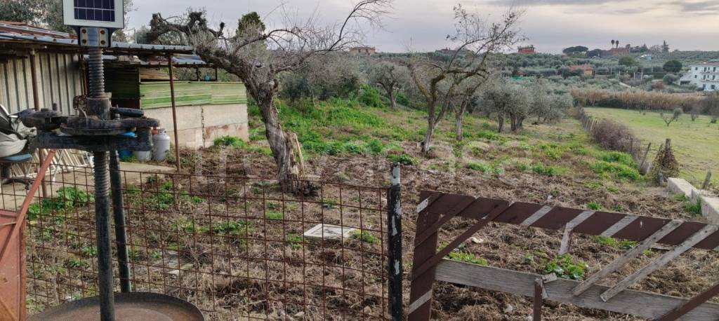 immagine annuncio 6 di 8