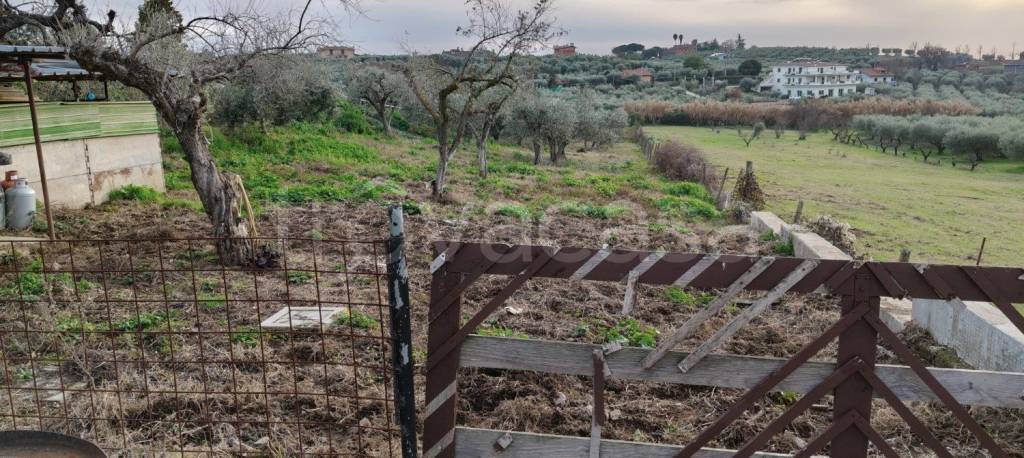 immagine annuncio 7 di 8