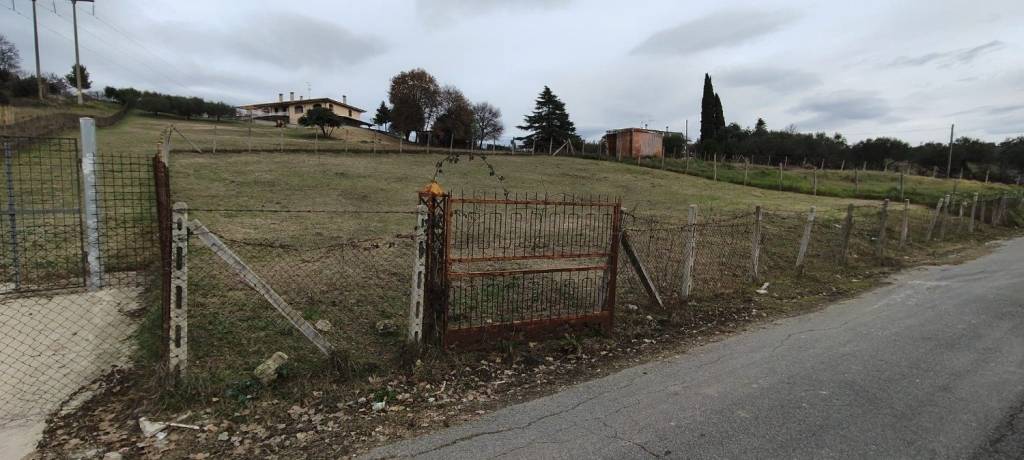 immagine annuncio 2 di 6