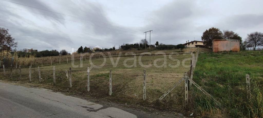 immagine annuncio 4 di 6