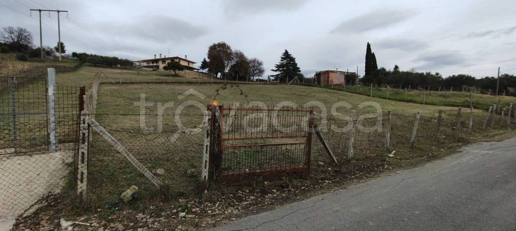 immagine annuncio 5 di 6