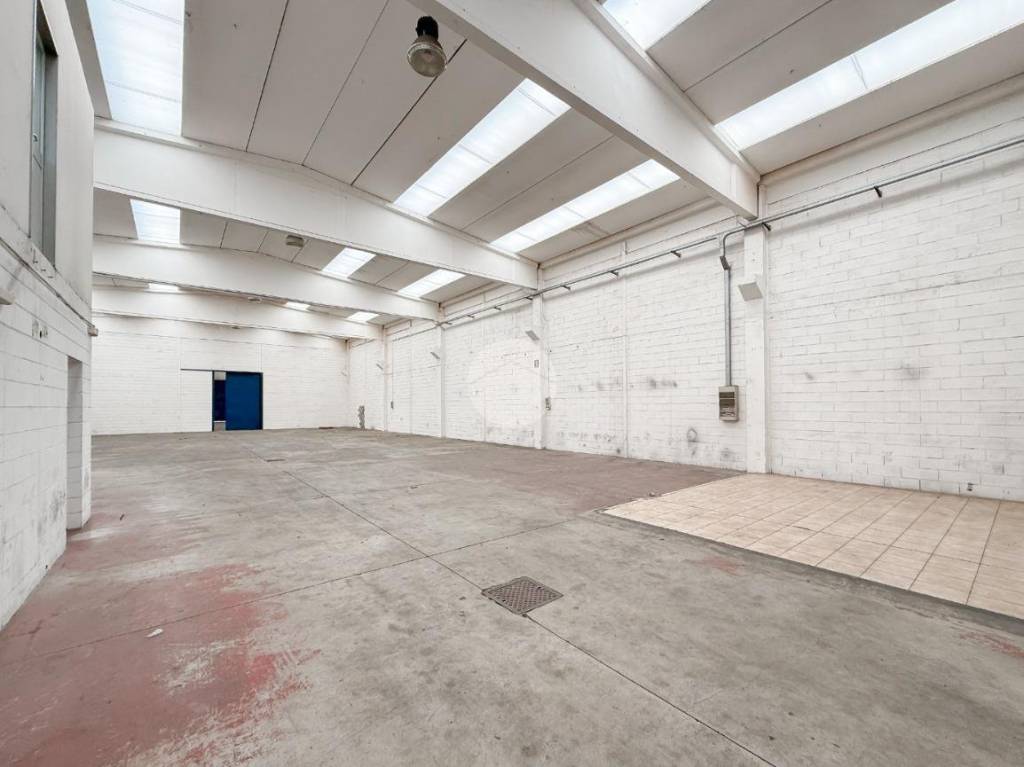 immagine annuncio 3 di 12